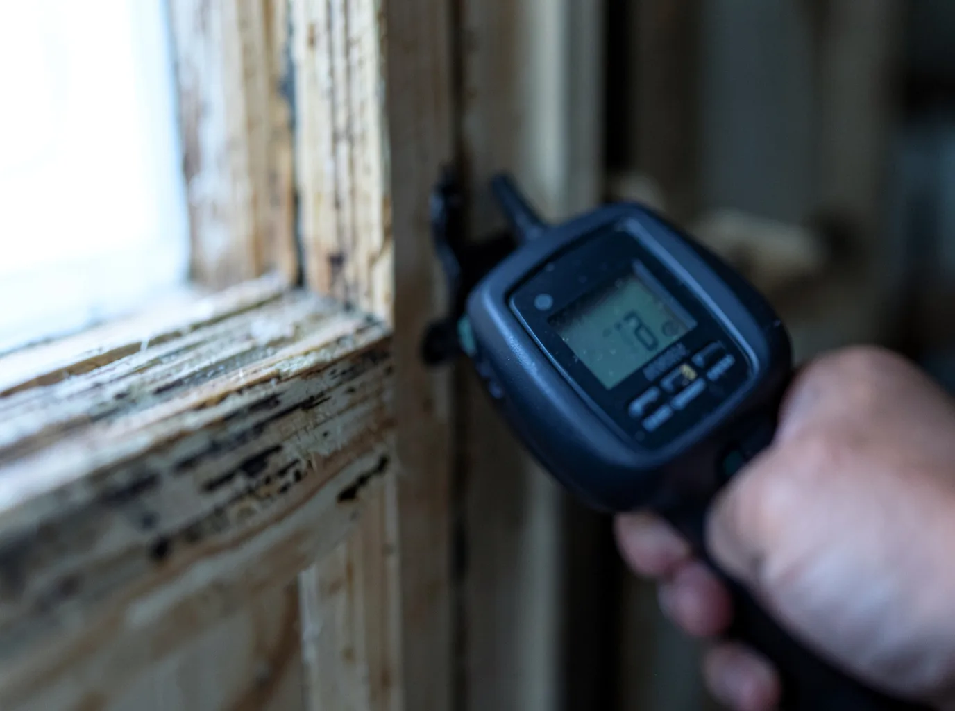 Moisture Inspection And Documentation in Opelika, AL